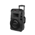 Kép 1/5 - KM1710 Hordozható aktív hangfal,10coll 20W,USB/SD/BT/AUX/FM/MIC