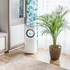 Kép 7/7 - TSA8044 * Ventilátor, levegőhűtő és párásító funkcióval, fehér, 80W Teesa Cool Touch P800